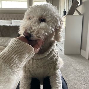 Meet your Posher, Lindsey